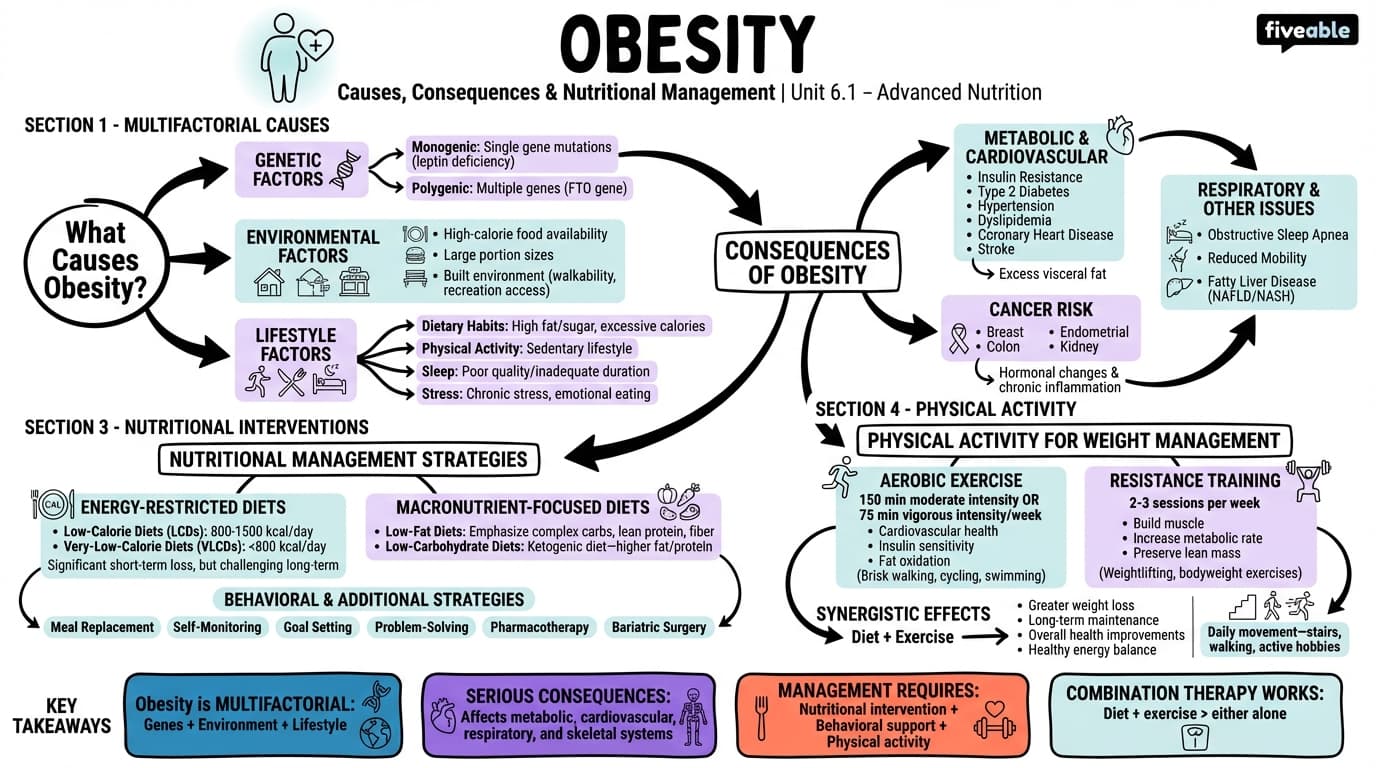 6.1 Obesity: Causes, consequences, and nutritional management - Advanced Nutrition - Unit 6 visual cheatsheet