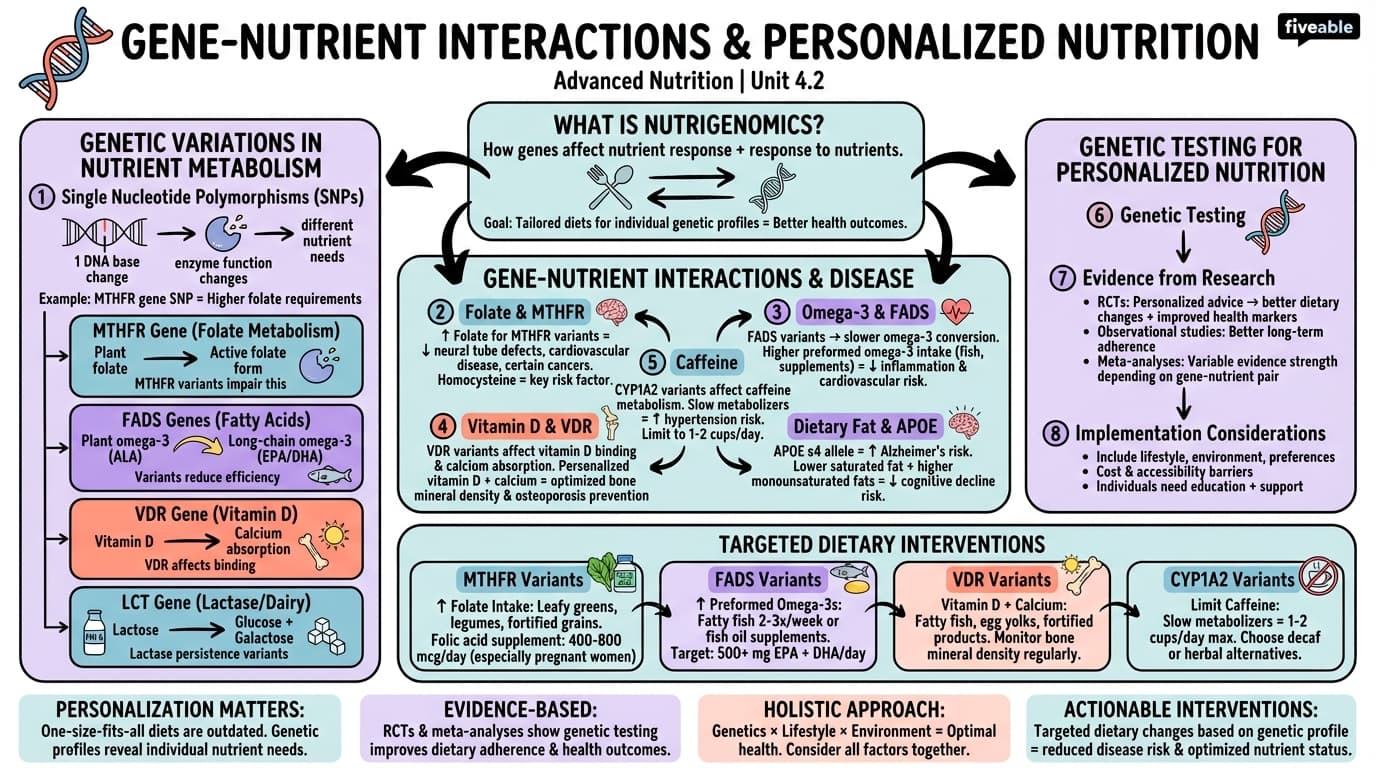 4.2 Gene-nutrient interactions and personalized nutrition - Advanced Nutrition - Unit 4 visual cheatsheet