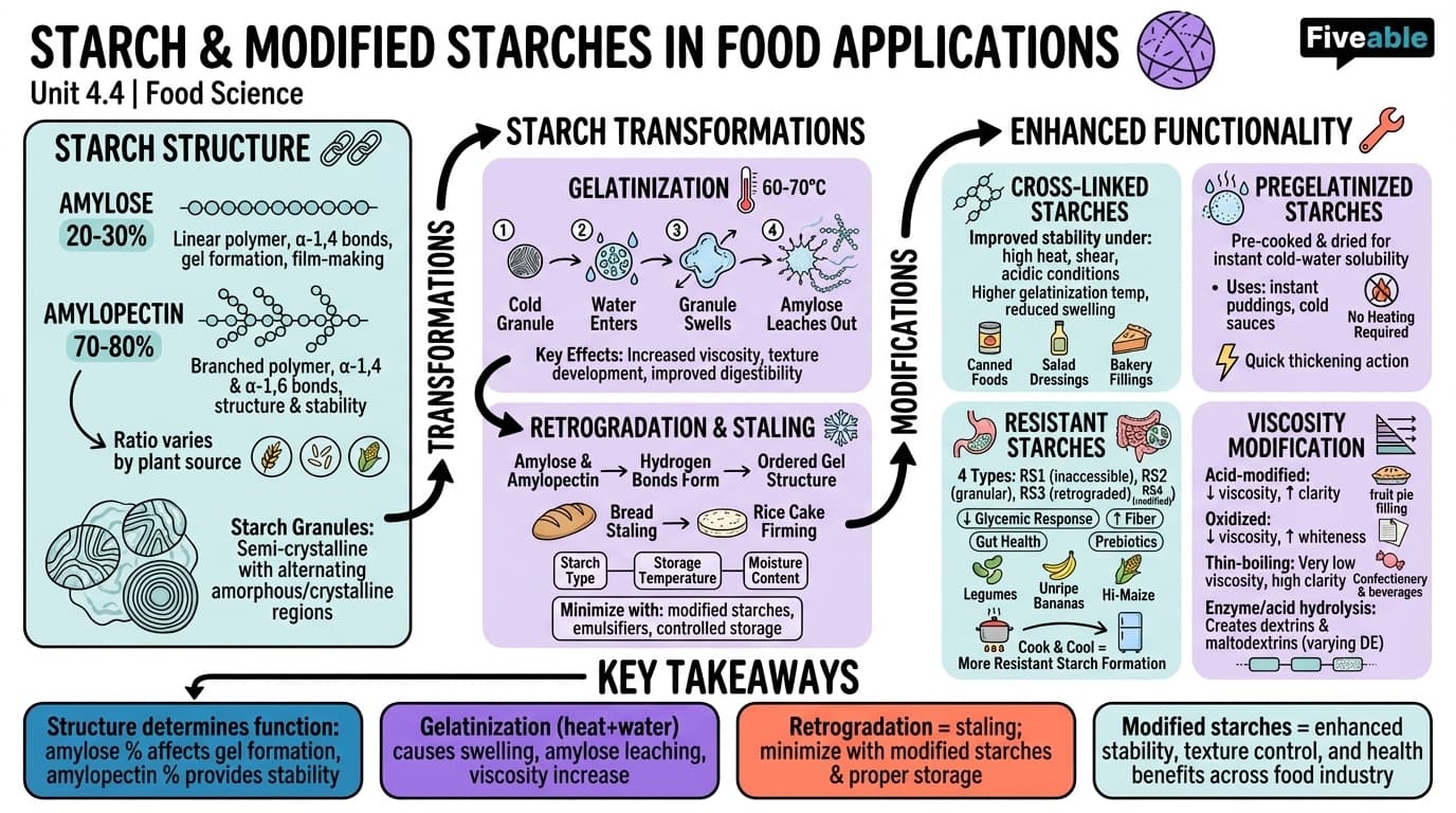 4.4 Starch and modified starches in food applications - Principles of Food Science - Unit 4 visual cheatsheet