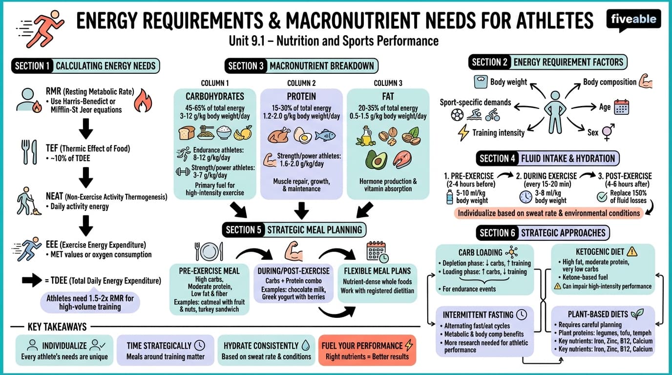 9.1 Energy requirements and macronutrient needs for athletes - Advanced Nutrition - Unit 9 visual cheatsheet