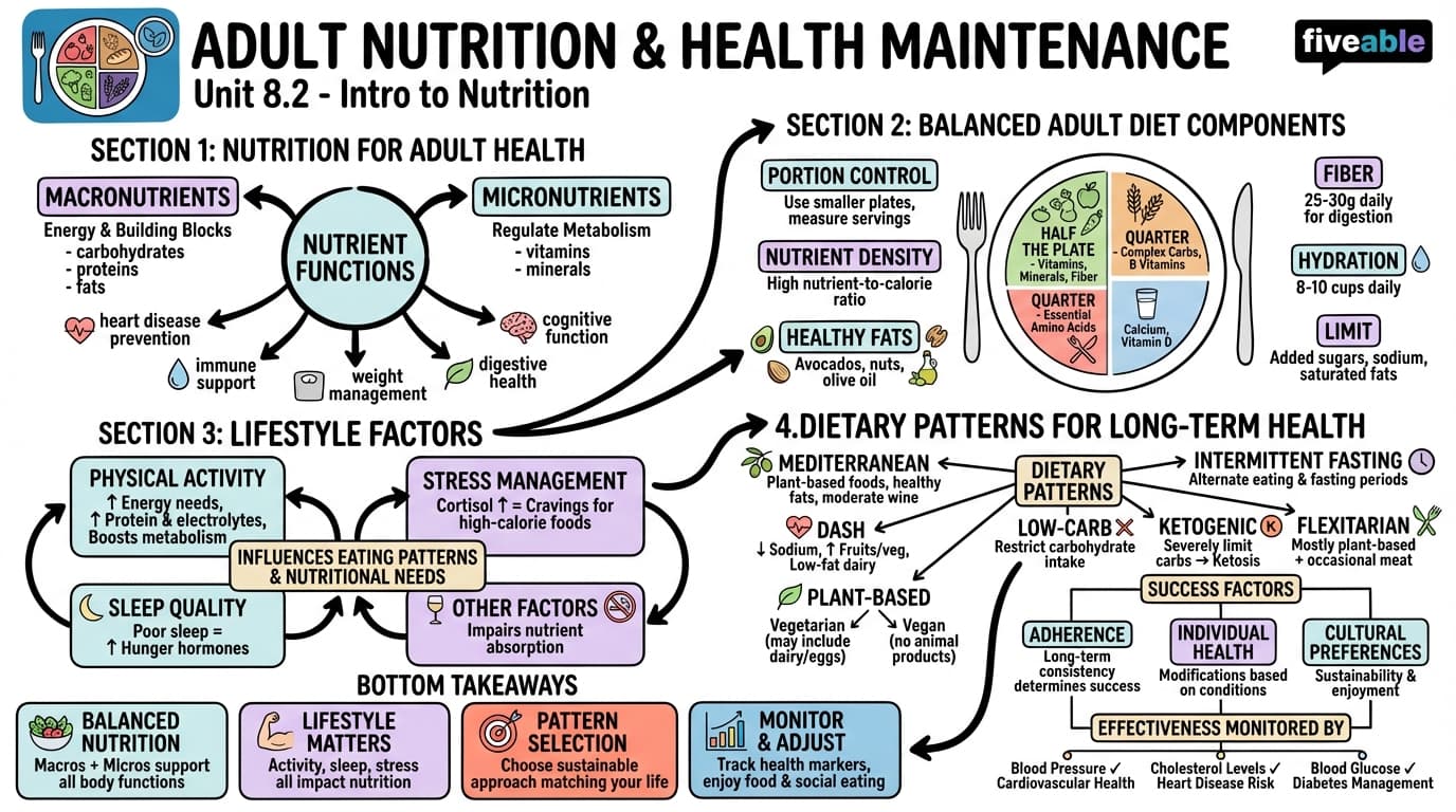 8.2 Adult Nutrition and Health Maintenance - Intro to Nutrition - Unit 8 visual cheatsheet