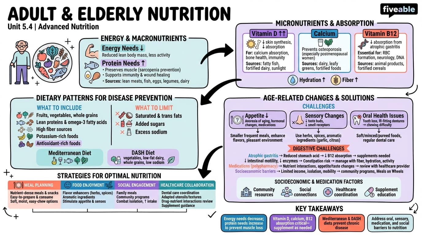 5.4 Adult and elderly nutrition: Nutrient requirements, age-related changes, and chronic disease prevention - Advanced Nutrition - Unit 5 visual cheatsheet