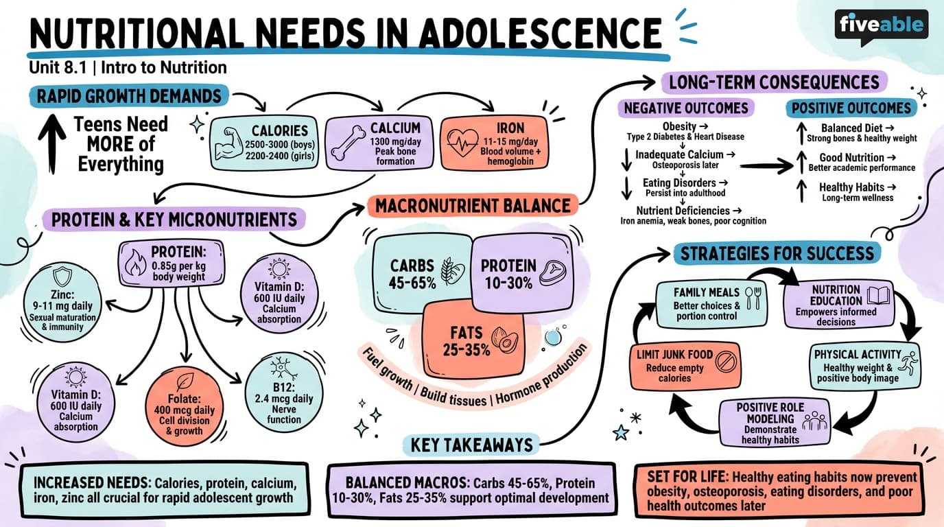 8.1 Nutritional Needs in Adolescence - Intro to Nutrition - Unit 8 visual cheatsheet