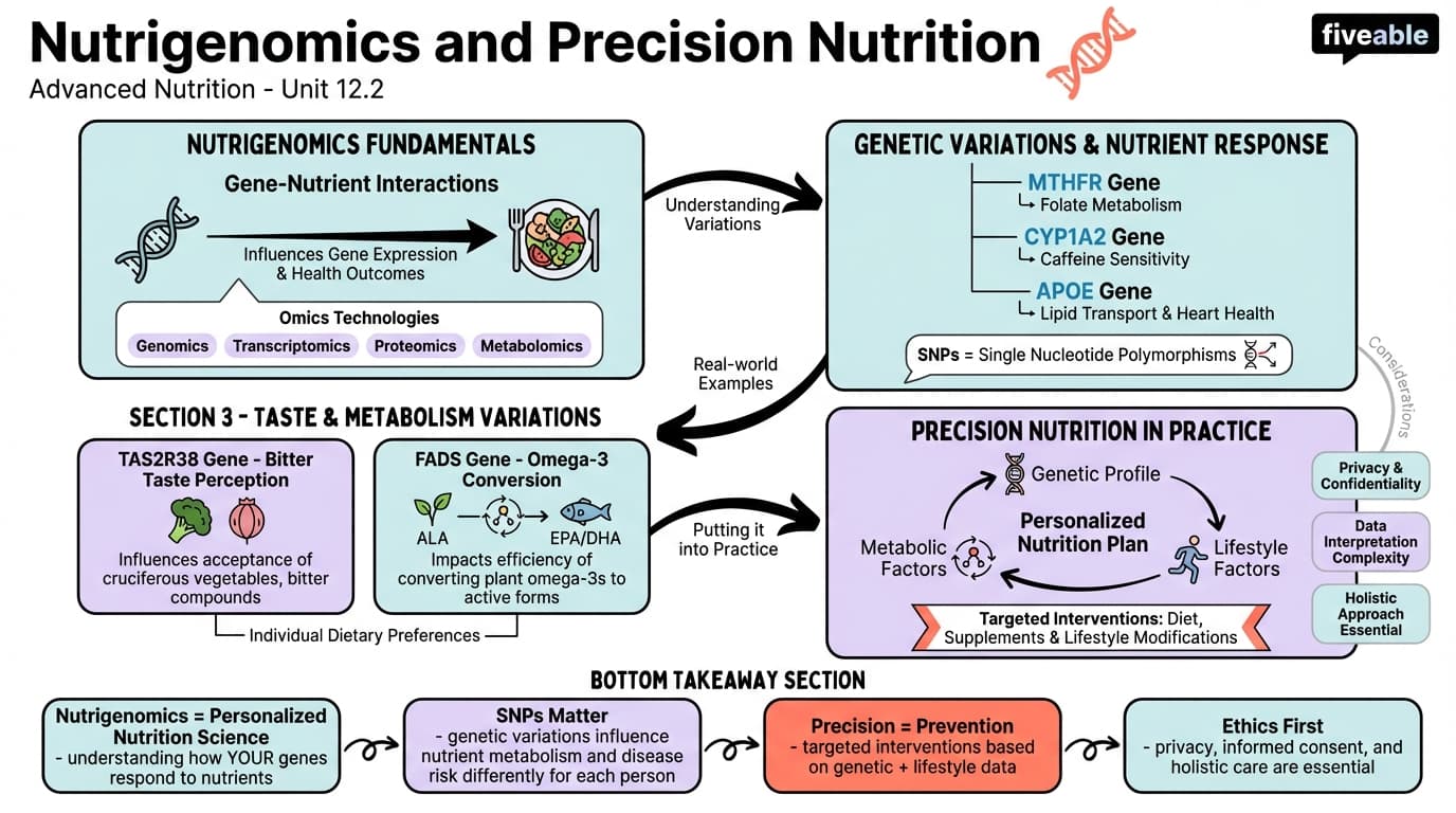 12.2 Nutrigenomics and precision nutrition - Advanced Nutrition - Unit 12 visual cheatsheet