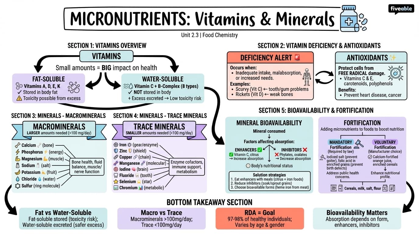 2.3 Micronutrients: vitamins and minerals - Principles of Food Science - Unit 2 visual cheatsheet