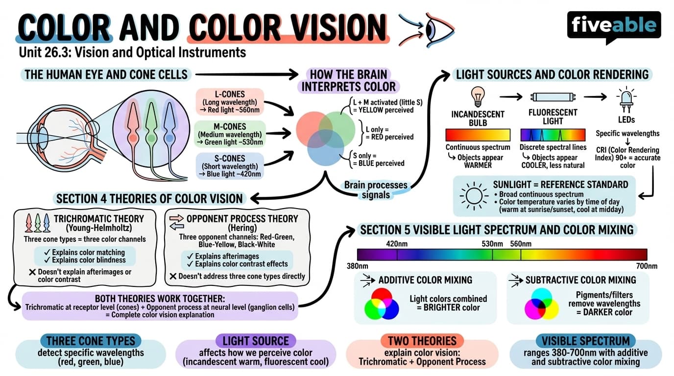 26.3 Color and Color Vision - College Physics I – Introduction - Unit 26 visual cheatsheet