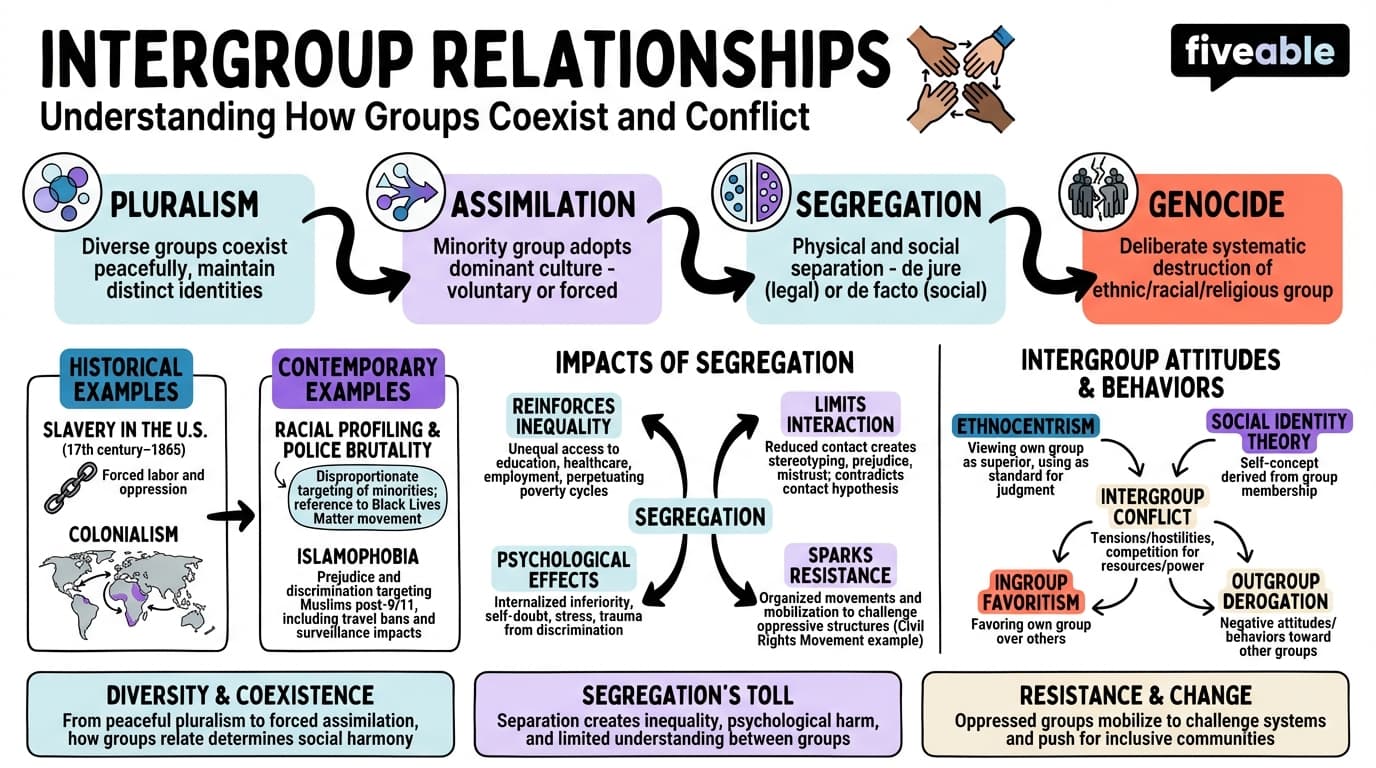 11.4 Intergroup Relationships - Intro to Sociology - Unit 11 visual cheatsheet