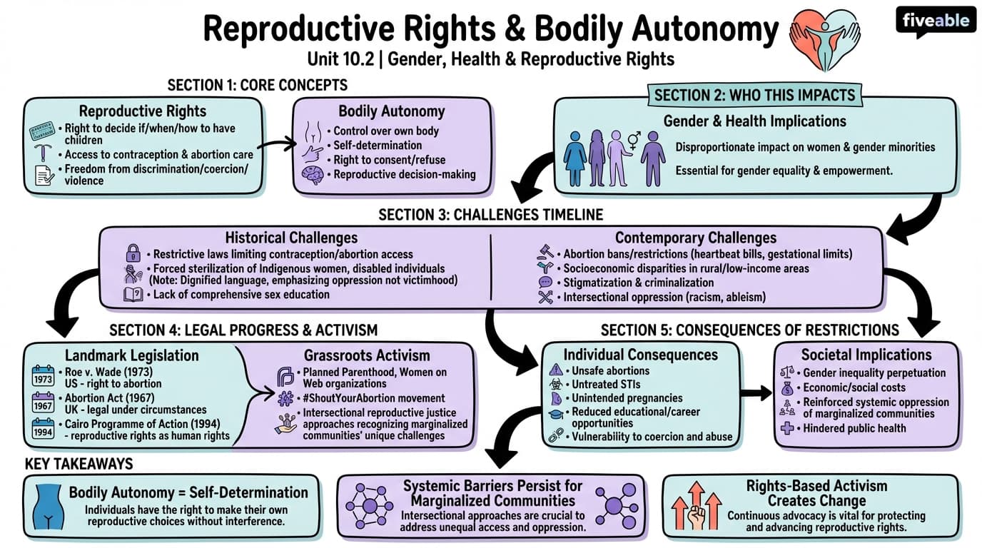 10.2 Reproductive rights and bodily autonomy - Intro to Gender Studies - Unit 10 visual cheatsheet