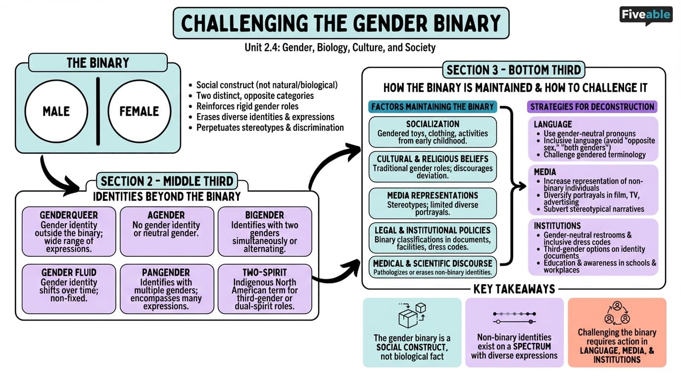 2.4 Challenging the gender binary - Intro to Gender Studies - Unit 2 visual cheatsheet