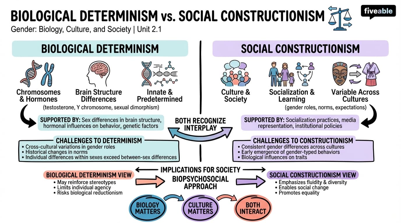 2.1 Biological determinism vs. social constructionism - Intro to Gender Studies - Unit 2 visual cheatsheet