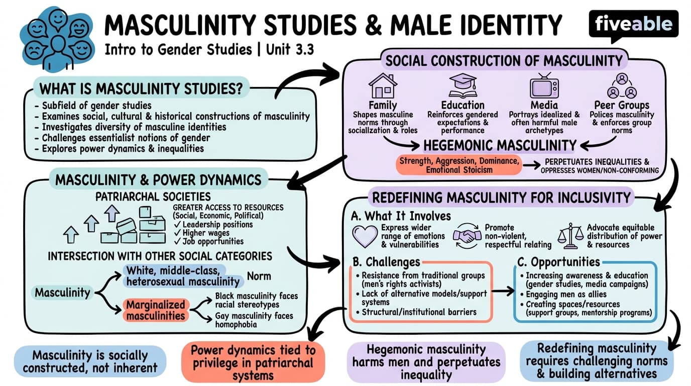 3.3 Masculinity studies and theories of male identity - Intro to Gender Studies - Unit 3 visual cheatsheet