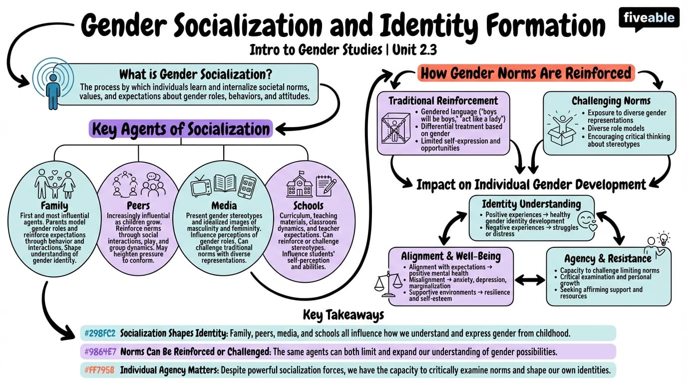 2.3 Socialization processes and gender identity formation - Intro to Gender Studies - Unit 2 visual cheatsheet