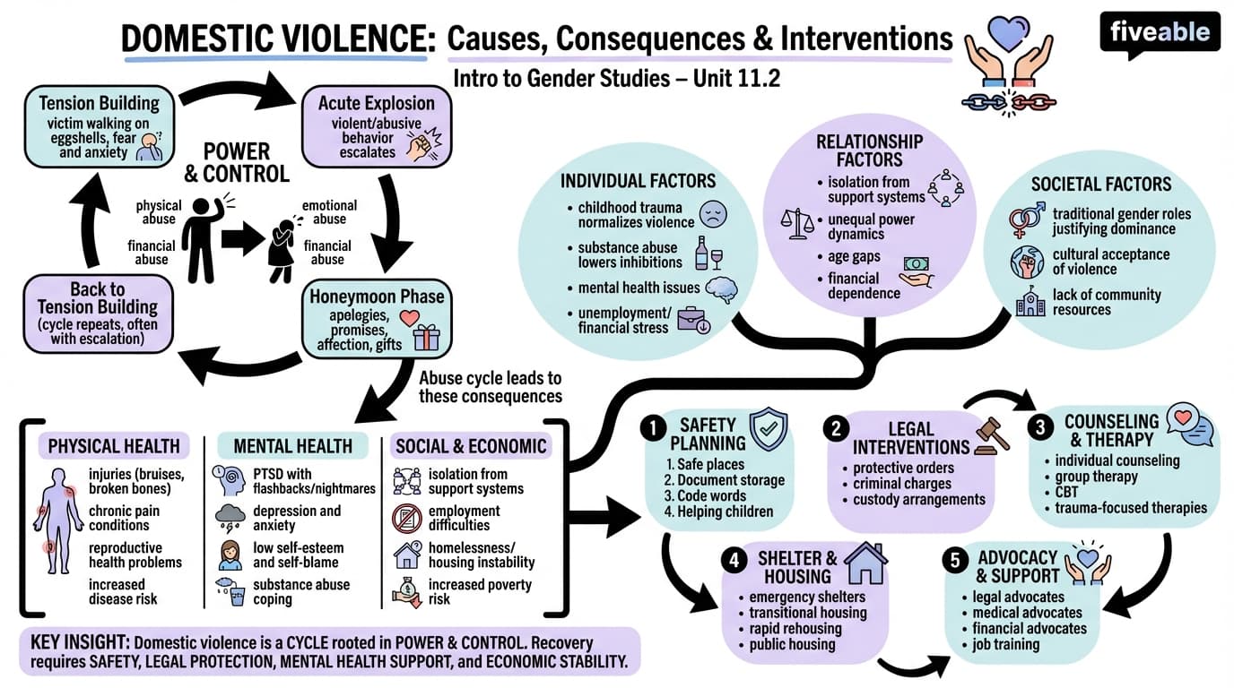11.2 Domestic violence: causes, consequences, and interventions - Intro to Gender Studies - Unit 11 visual cheatsheet