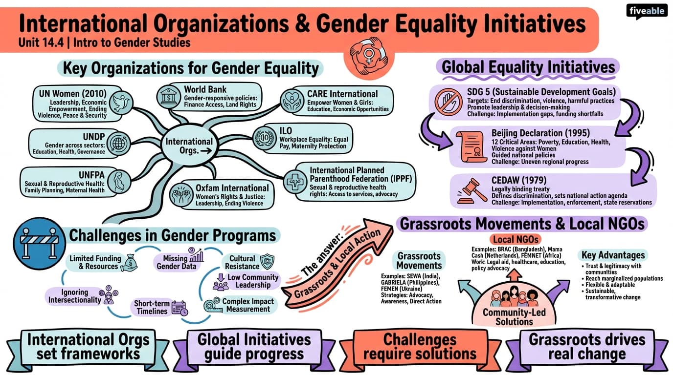 14.4 International organizations and gender equality initiatives - Intro to Gender Studies - Unit 14 visual cheatsheet