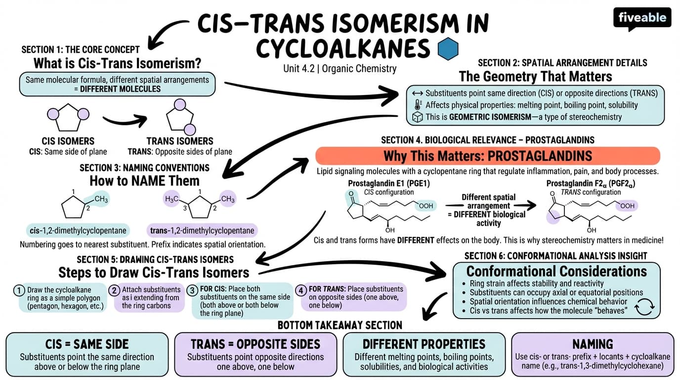 4.2 Cis–Trans Isomerism in Cycloalkanes - Organic Chemistry - Unit 4 visual cheatsheet