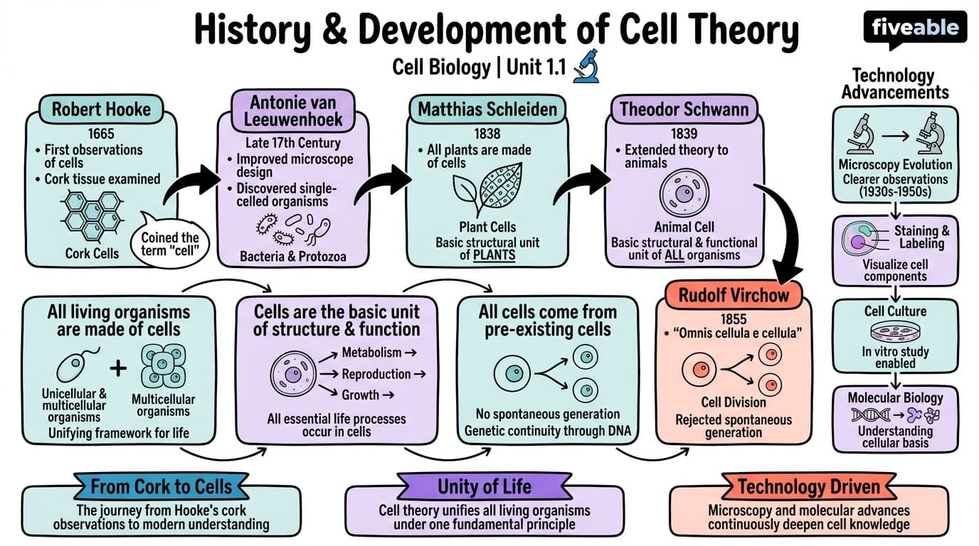 1.1 History and development of cell theory - Cell Biology - Unit 1 visual cheatsheet