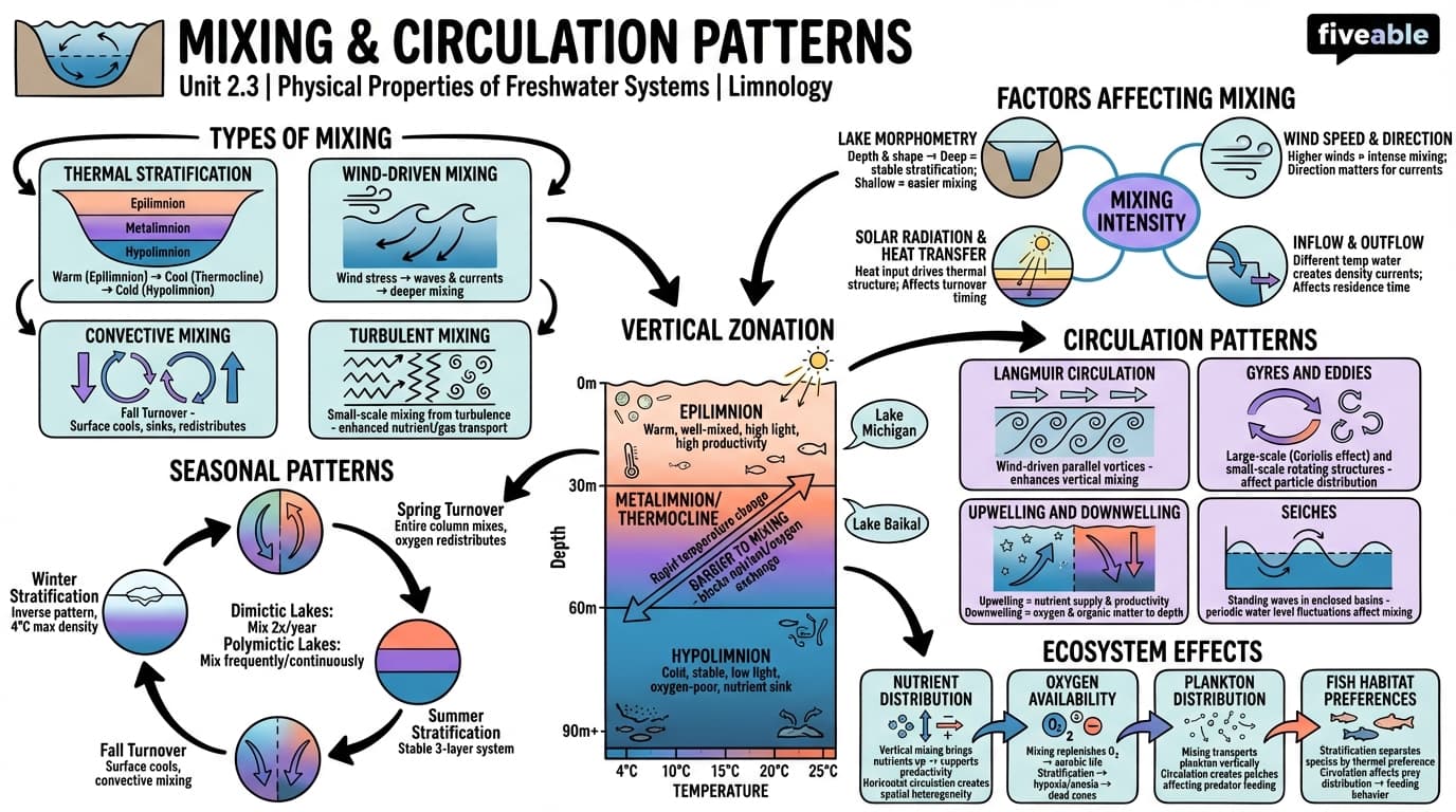 2.3 Mixing and circulation patterns - Limnology - Unit 2 visual cheatsheet