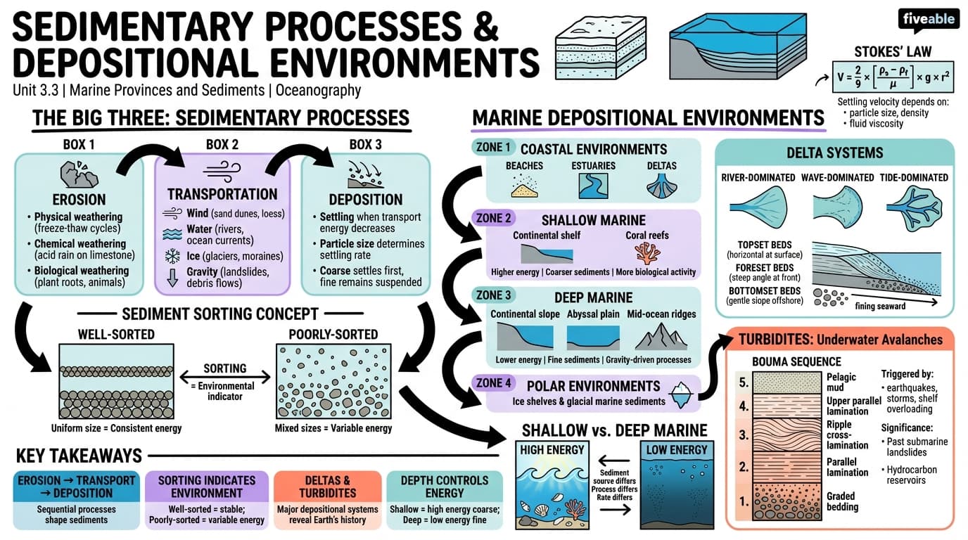 3.3 Sedimentary processes and depositional environments - Oceanography - Unit 3 visual cheatsheet