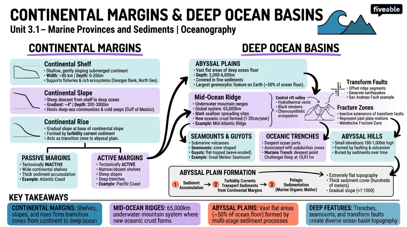 3.1 Continental margins and deep ocean basins - Oceanography - Unit 3 visual cheatsheet