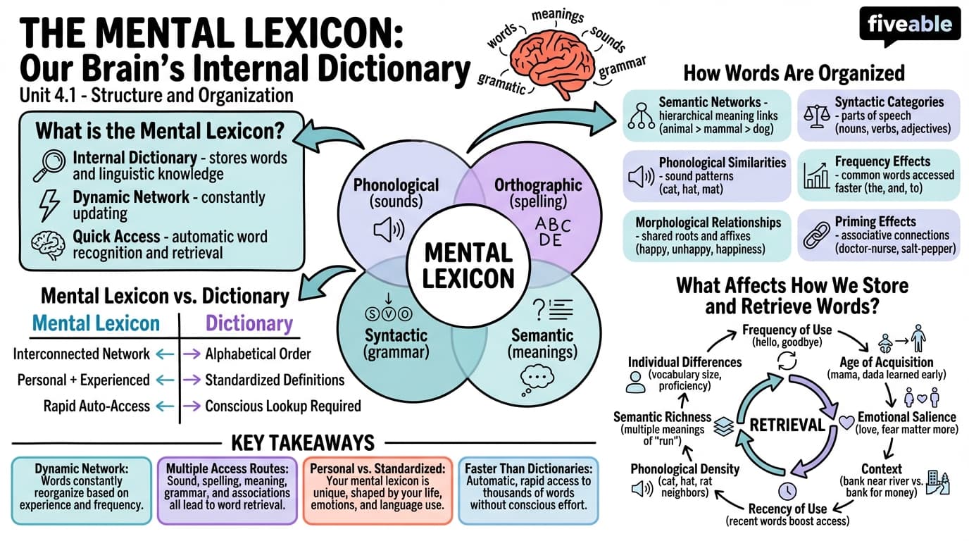 4.1 Structure and organization of the mental lexicon - Intro to English Grammar - Unit 4 visual cheatsheet