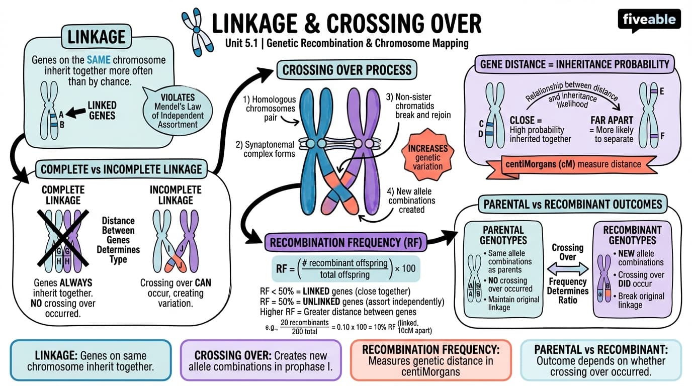 5.1 Linkage and Crossing Over - General Genetics - Unit 5 visual cheatsheet