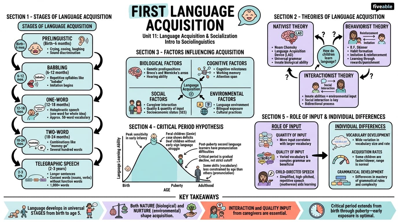 11.1 First language acquisition - Intro to Sociolinguistics - Unit 11 visual cheatsheet