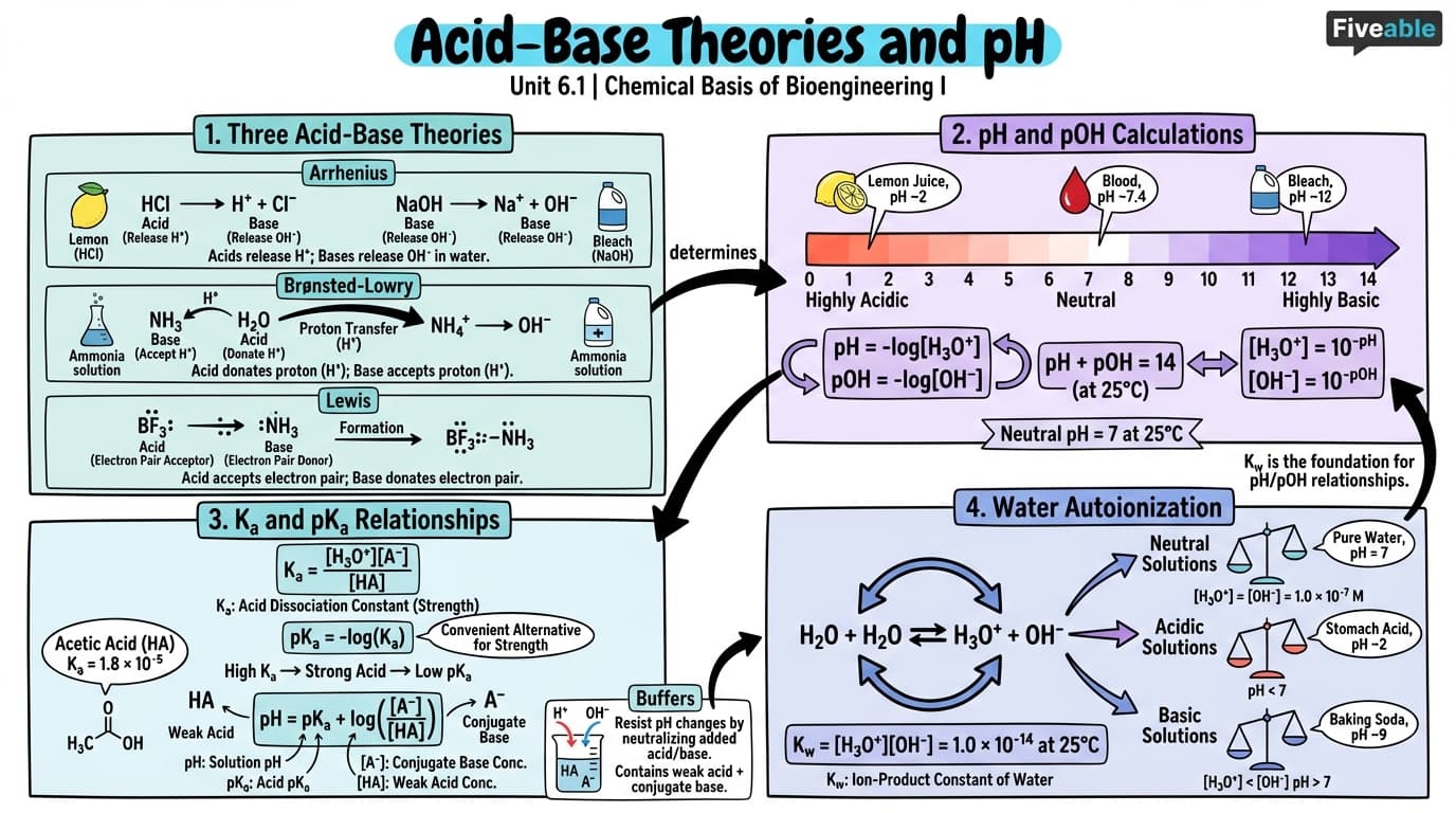 6.1 Acid-Base Theories and pH - Chemical Basis of Bioengineering I - Unit 6 visual cheatsheet