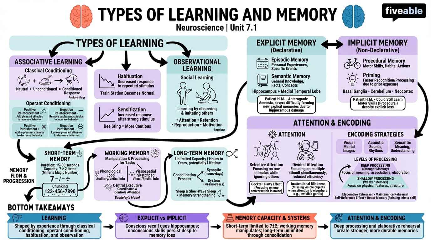 7.1 Types of learning and memory - Neuroscience - Unit 7 visual cheatsheet