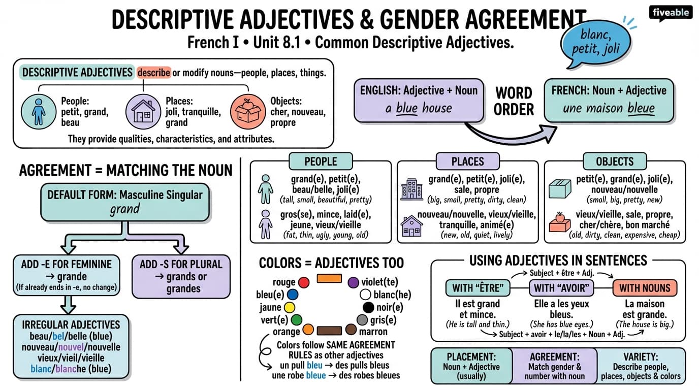 8.1 Common descriptive adjectives - French I - Unit 8 visual cheatsheet