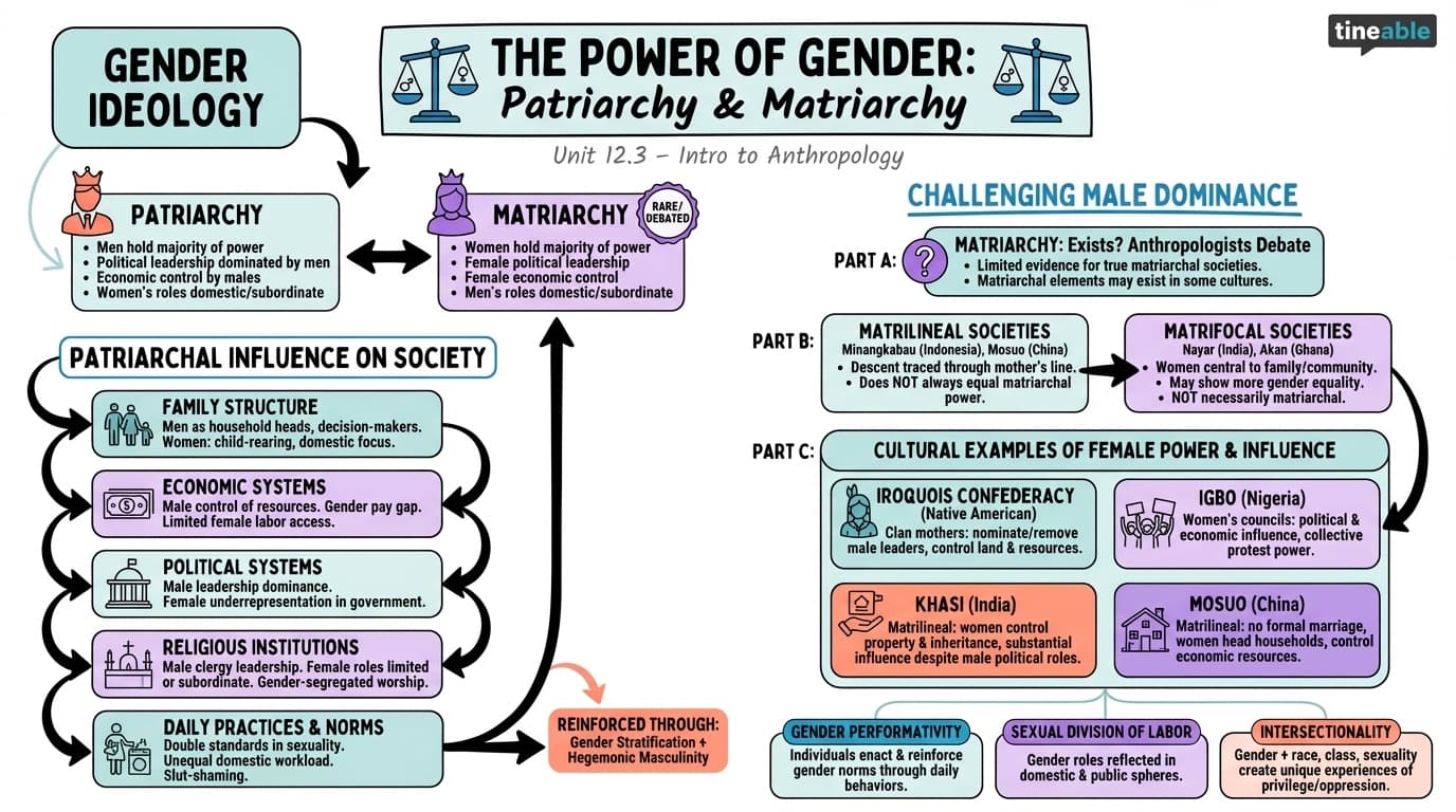 12.3 The Power of Gender: Patriarchy and Matriarchy - Intro to Anthropology - Unit 12 visual cheatsheet