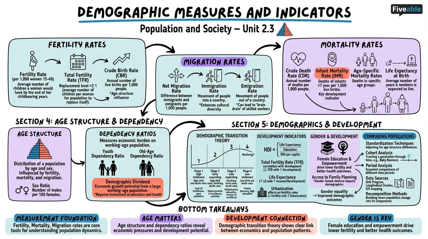 2.3 Demographic measures and indicators - Population and Society - Unit 2 visual cheatsheet