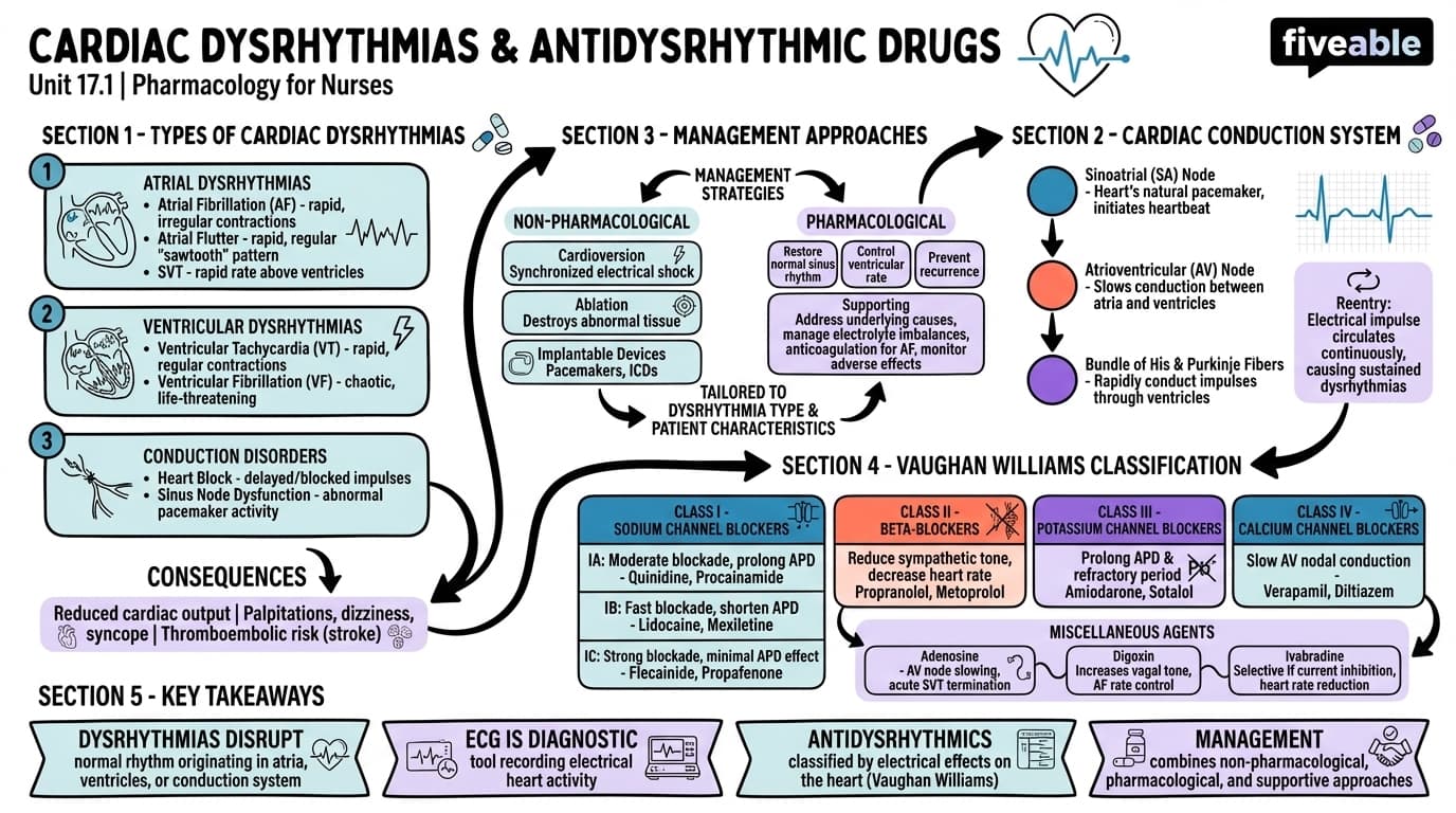 17.1 Introduction to Dysrhythmias - Pharmacology for Nurses - Unit 17 visual cheatsheet