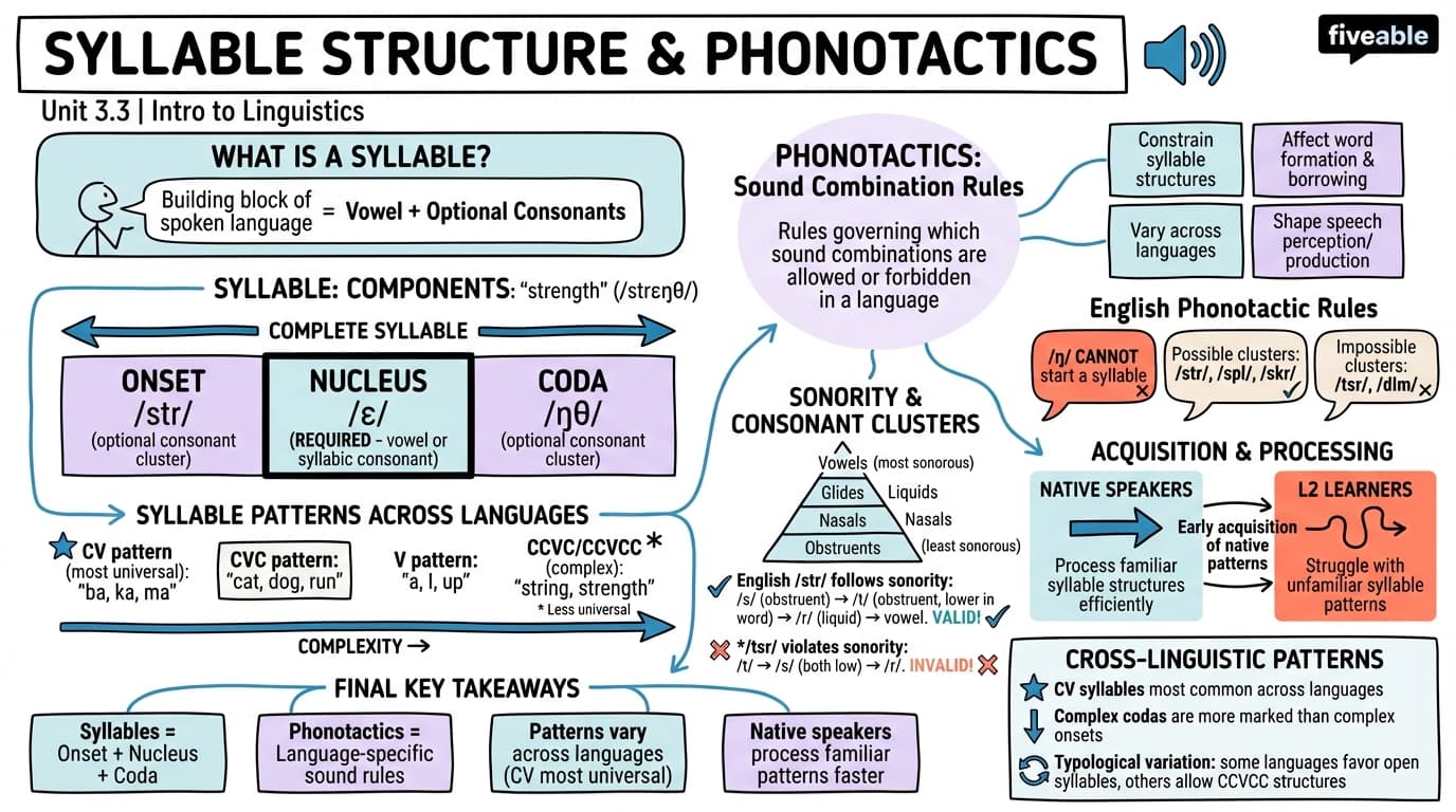 3.3 Syllable structure and phonotactics - Intro to Linguistics - Unit 3 visual cheatsheet