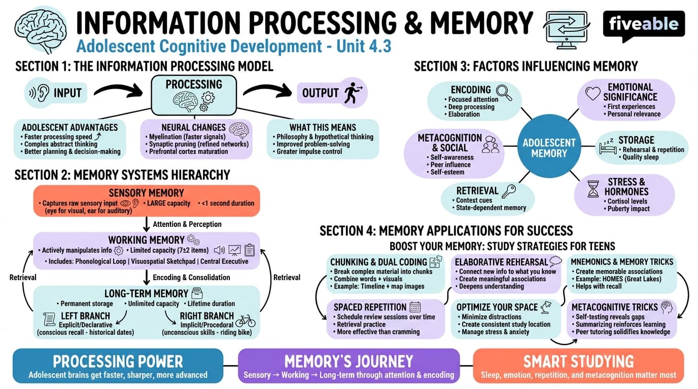 4.3 Information processing and memory - Adolescent Development - Unit 4 visual cheatsheet