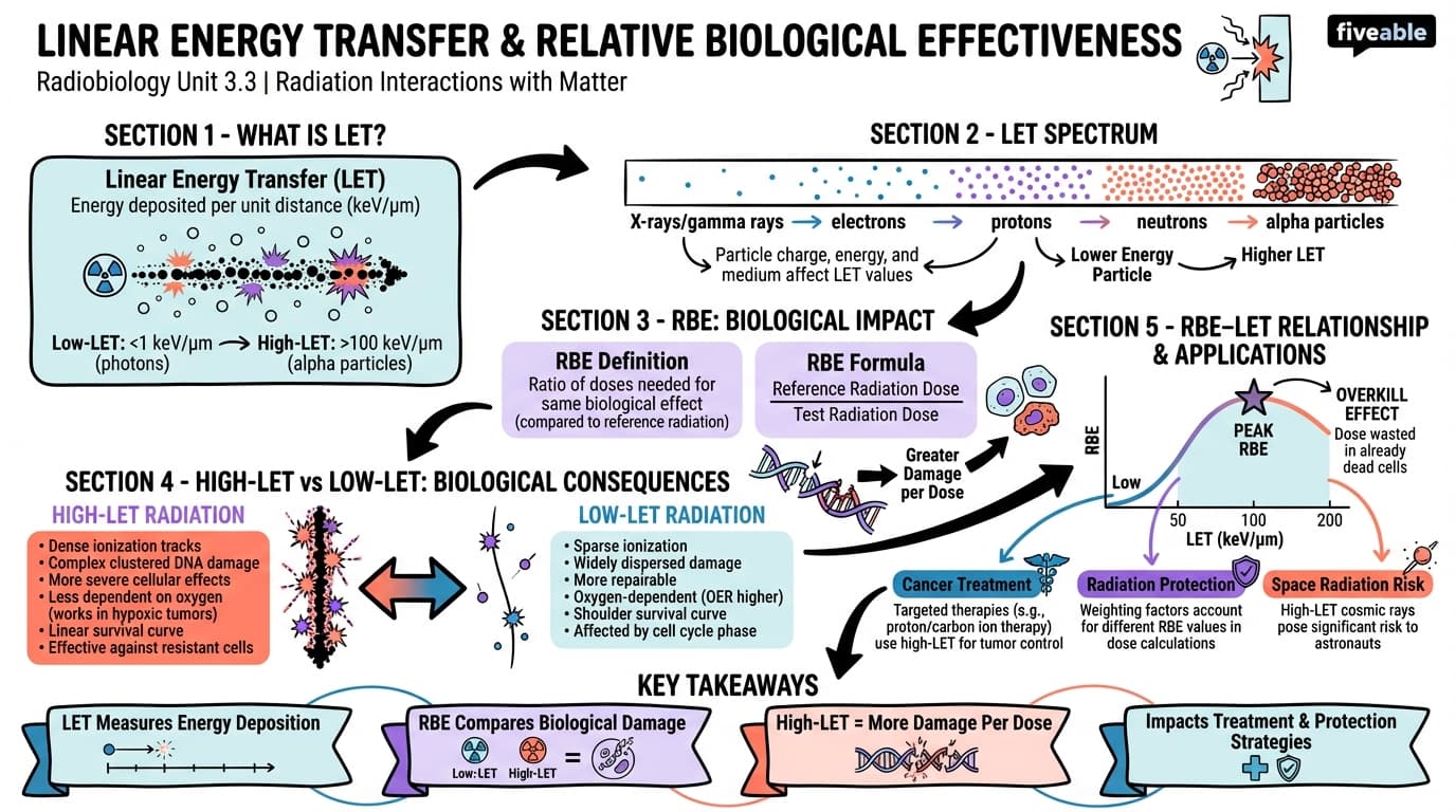 3.3 Linear energy transfer (LET) and relative biological effectiveness (RBE) - Radiobiology - Unit 3 visual cheatsheet