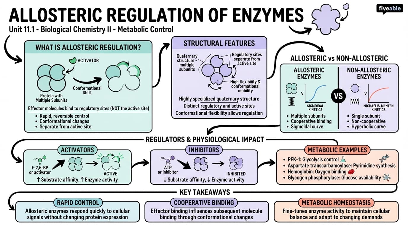 11.1 Allosteric regulation of enzymes - Biological Chemistry II - Unit 11 visual cheatsheet
