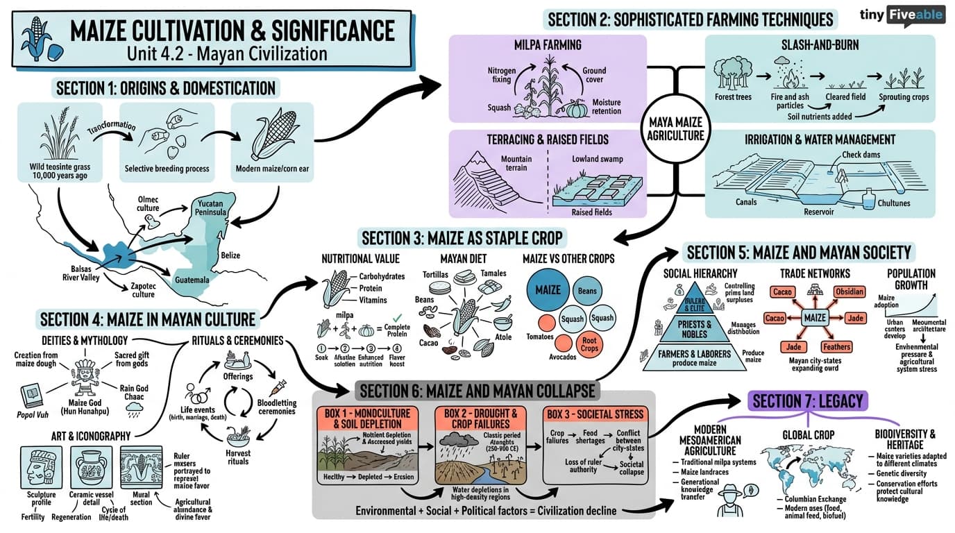 4.2 Maize cultivation and significance - Mayan Civilization History - Unit 4 visual cheatsheet