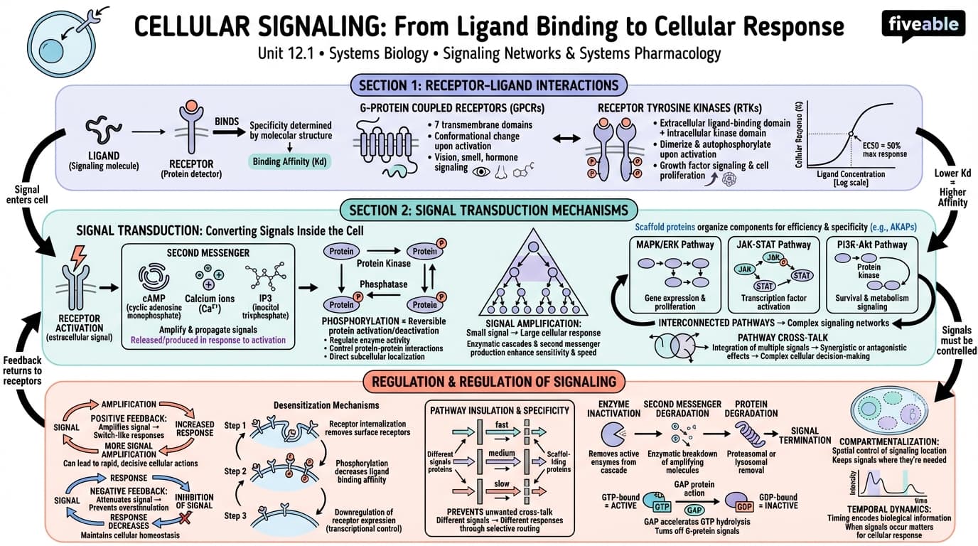 12.1 Principles of cellular signaling and signal transduction - Systems Biology - Unit 12 visual cheatsheet