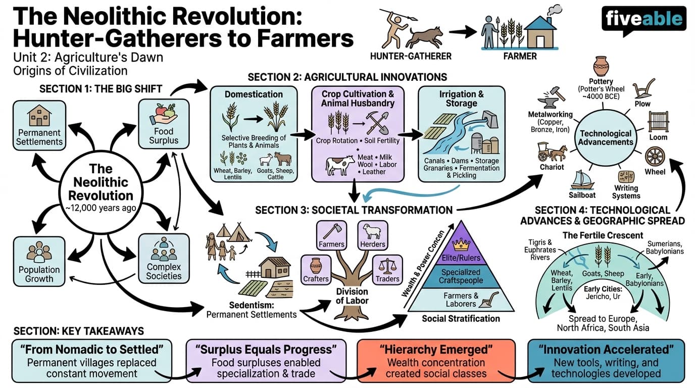 2.1 Transition from hunter-gatherer to agricultural societies - Origins of Civilization - Unit 2 visual cheatsheet