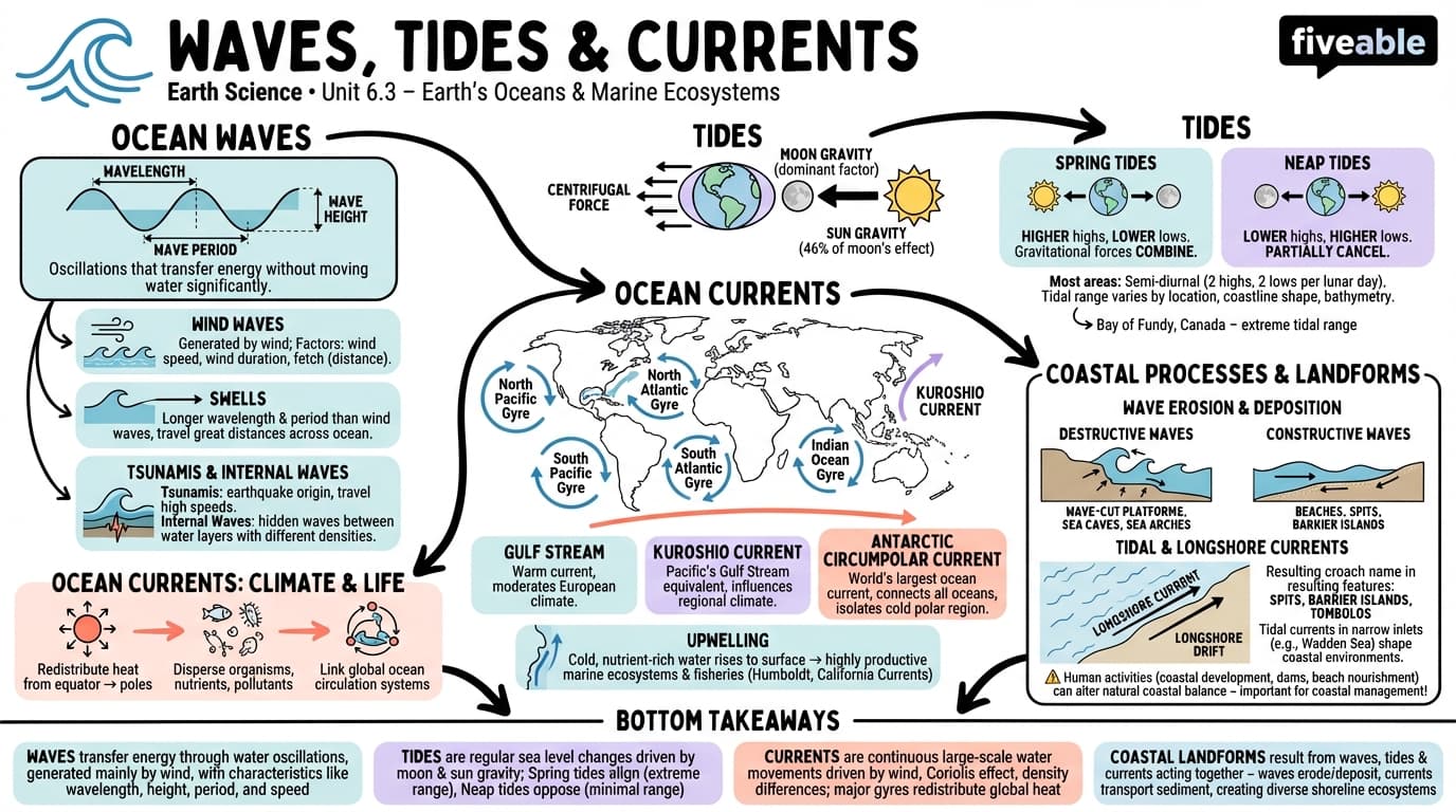 6.3 Waves, Tides, and Currents - Earth Science - Unit 6 visual cheatsheet