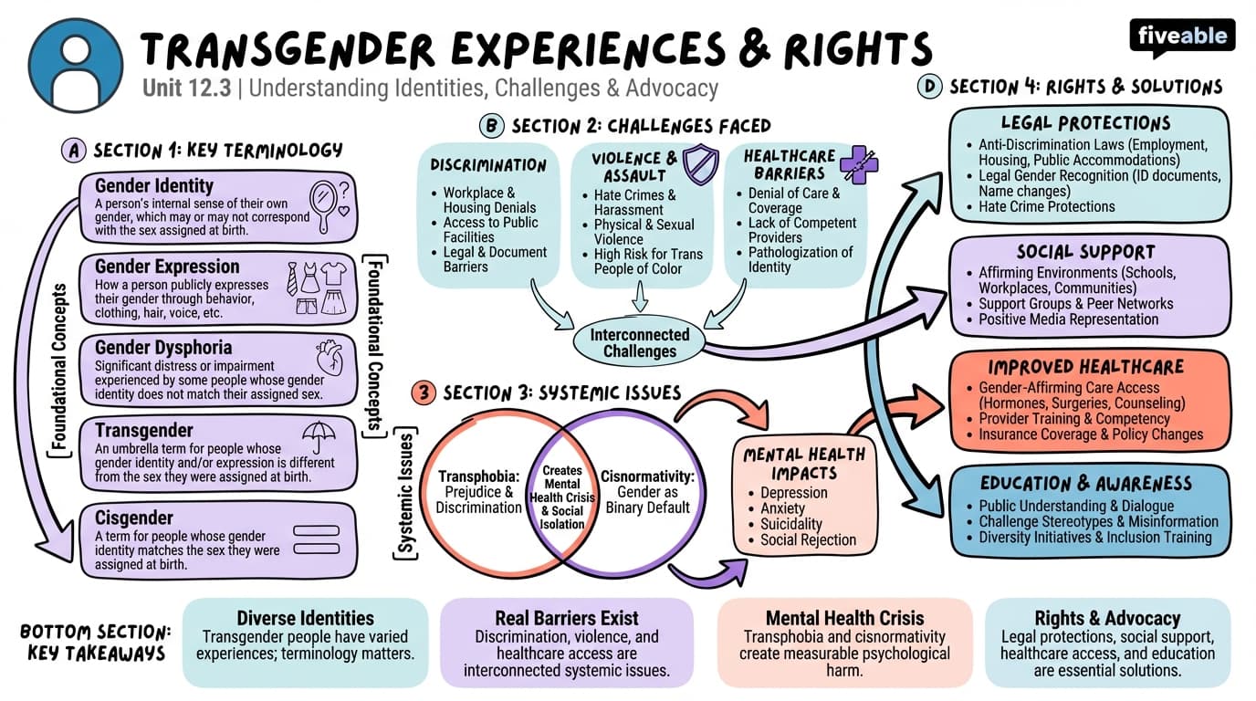 12.3 Transgender experiences and rights - Intro to Gender Studies - Unit 12 visual cheatsheet