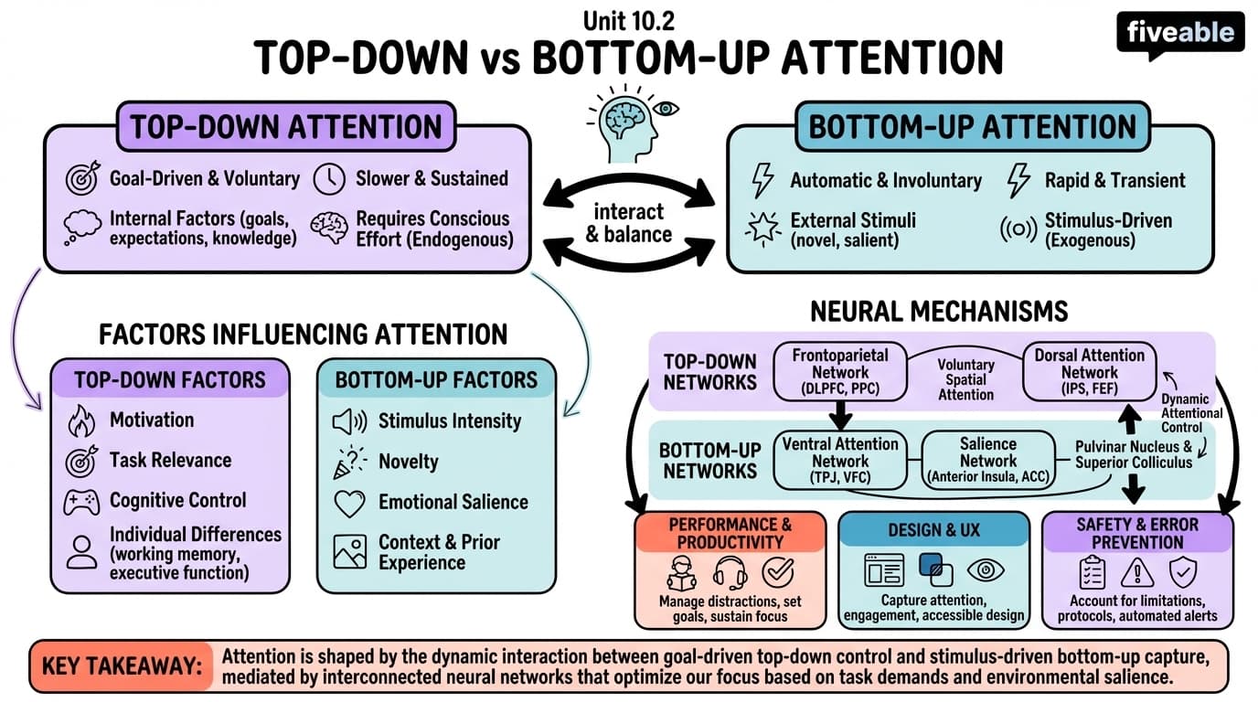 10.2 Top-down and bottom-up attention - Neuroscience - Unit 10 visual cheatsheet