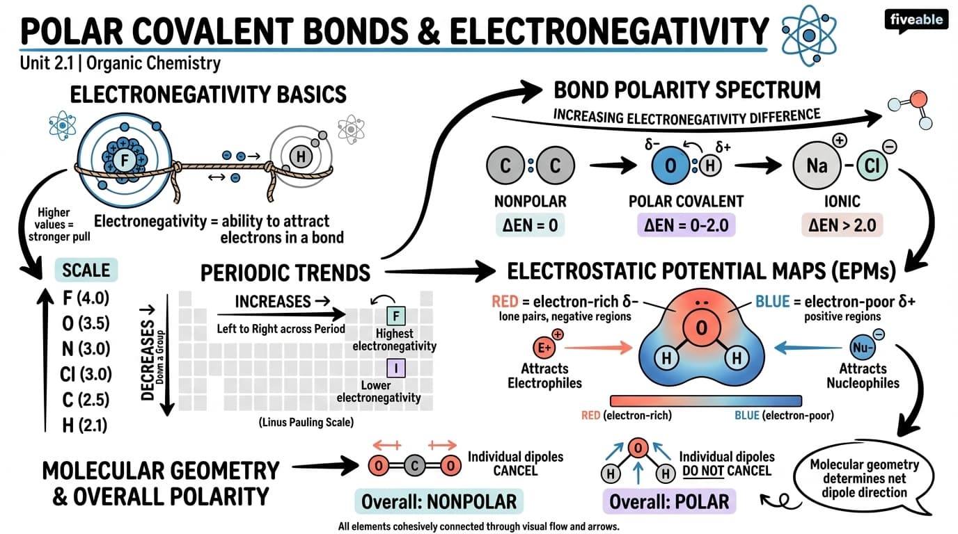 2.1 Polar Covalent Bonds and Electronegativity - Organic Chemistry - Unit 2 visual cheatsheet