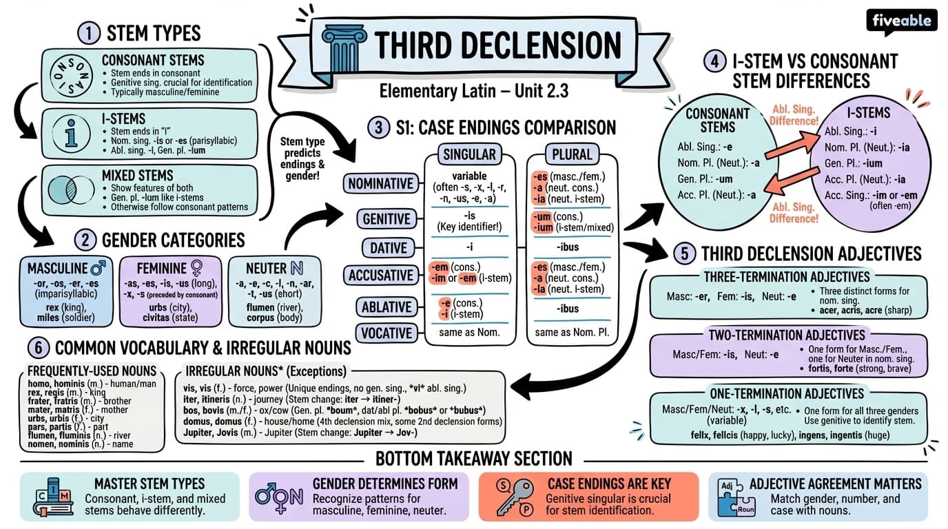 2.3 Third declension - Elementary Latin - Unit 2 visual cheatsheet