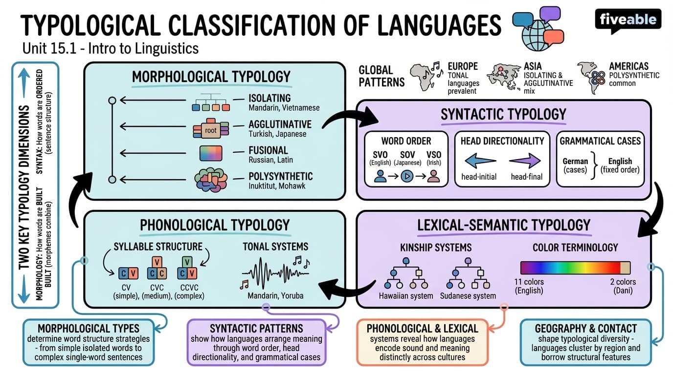 15.1 Typological classification of languages - Intro to Linguistics - Unit 15 visual cheatsheet