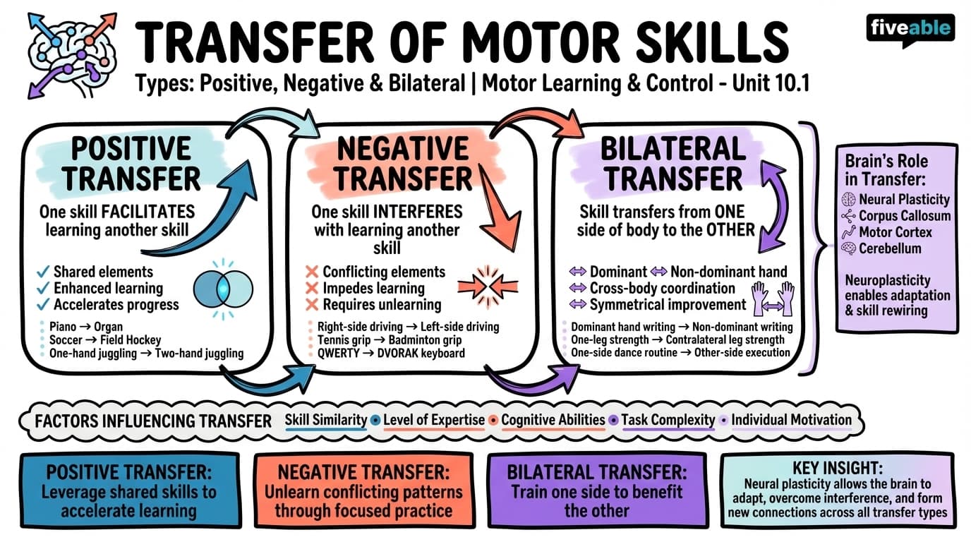 10.1 Types of Transfer (Positive, Negative, and Bilateral) - Motor Learning and Control - Unit 10 visual cheatsheet