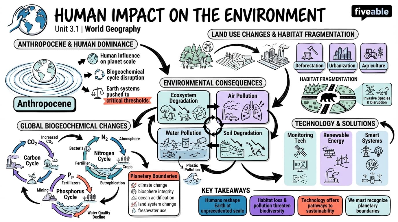 3.1 Human Impact on the Environment - Intro to World Geography - Unit 3 visual cheatsheet
