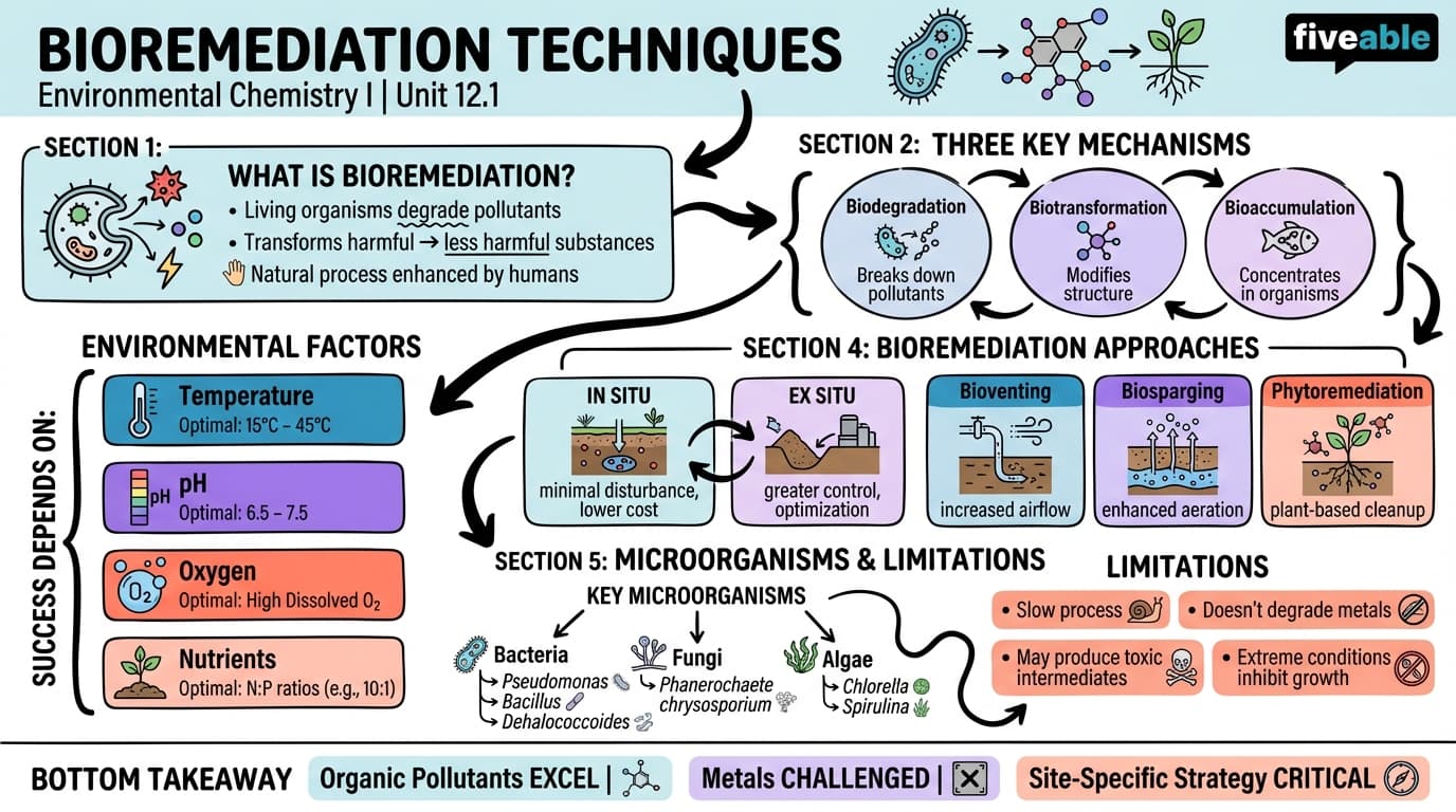 12.1 Bioremediation Techniques - Environmental Chemistry I - Unit 12 visual cheatsheet