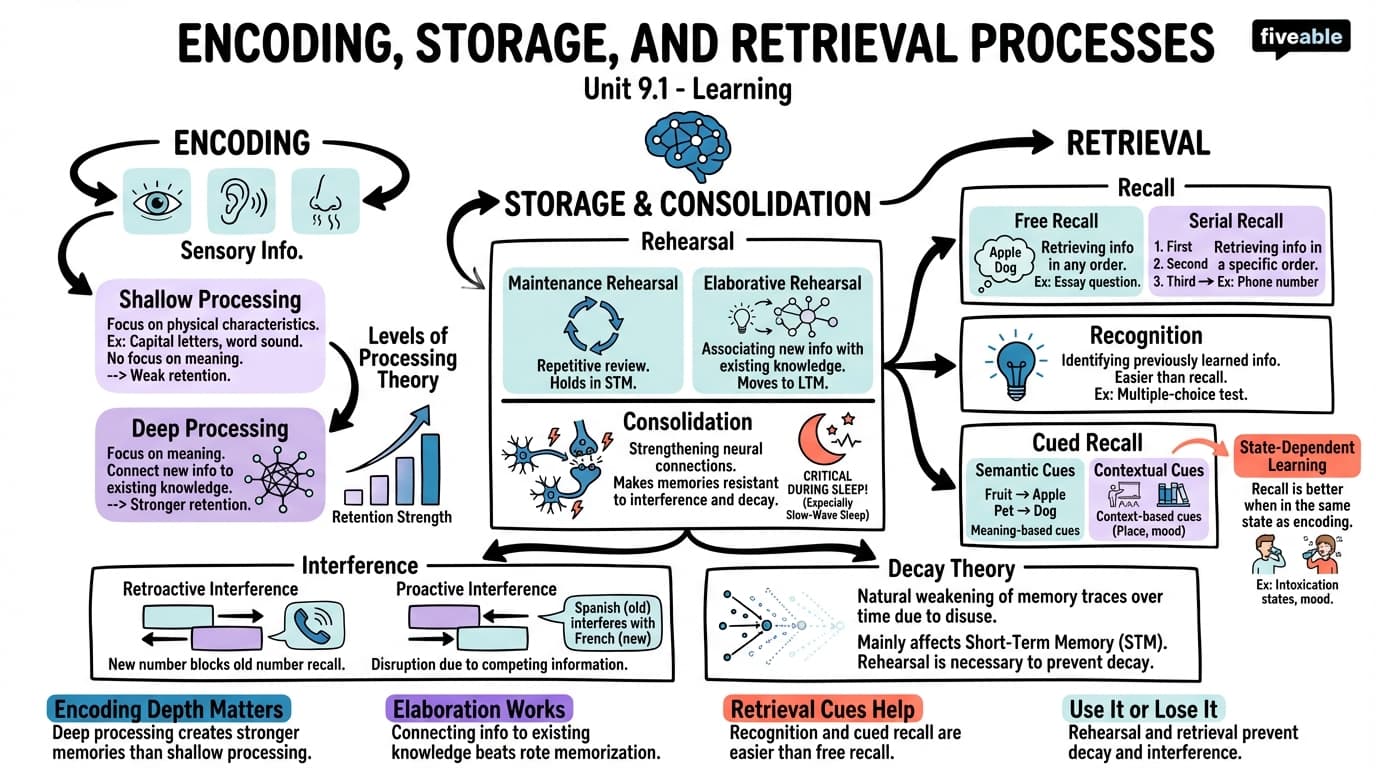 9.1 Encoding, Storage, and Retrieval Processes - Learning - Unit 9 visual cheatsheet