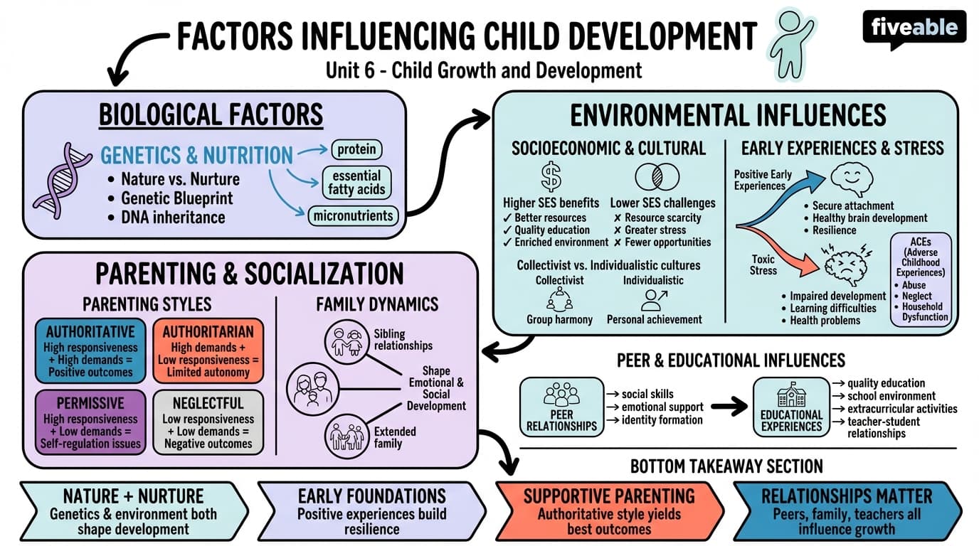 6.2 Factors influencing child development - Foundations of Education - Unit 6 visual cheatsheet